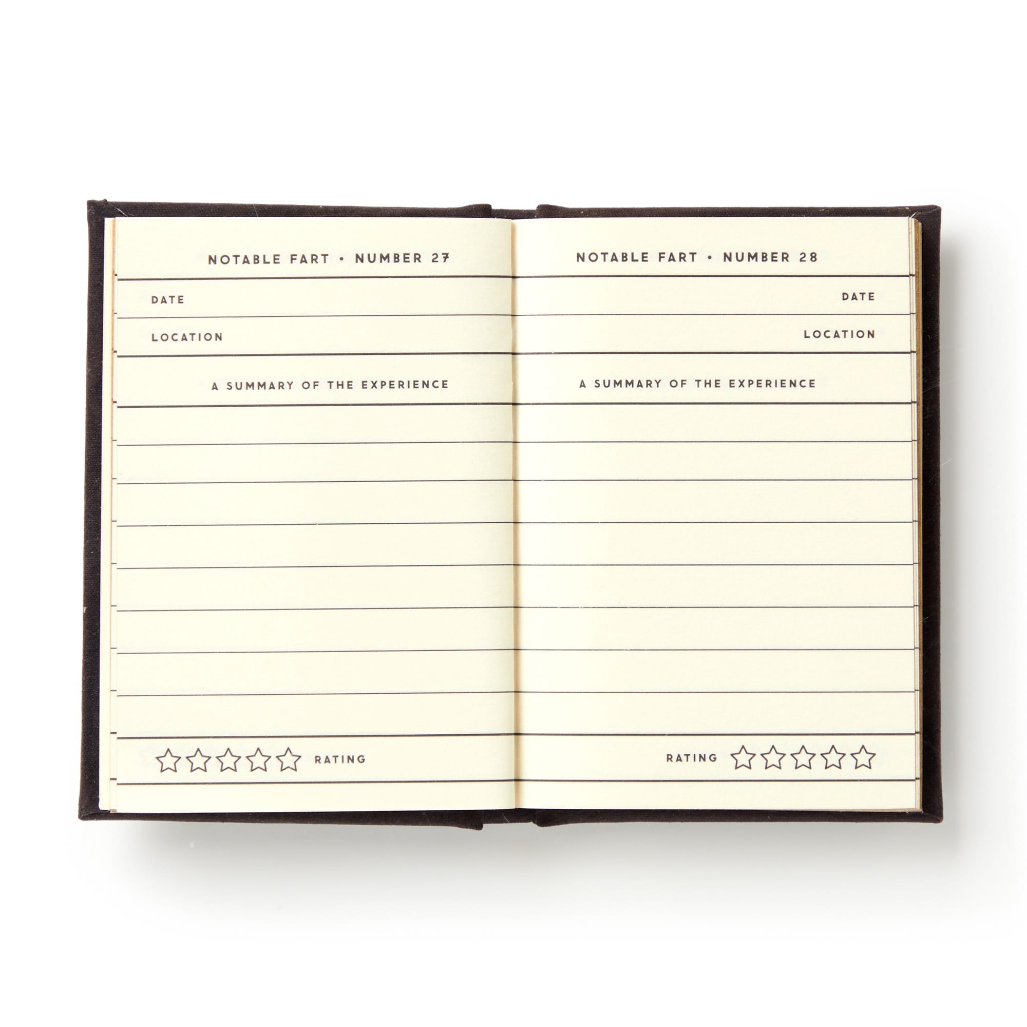 galison-a-tiny-fart-diary-tagebuch-mini-filz image 8