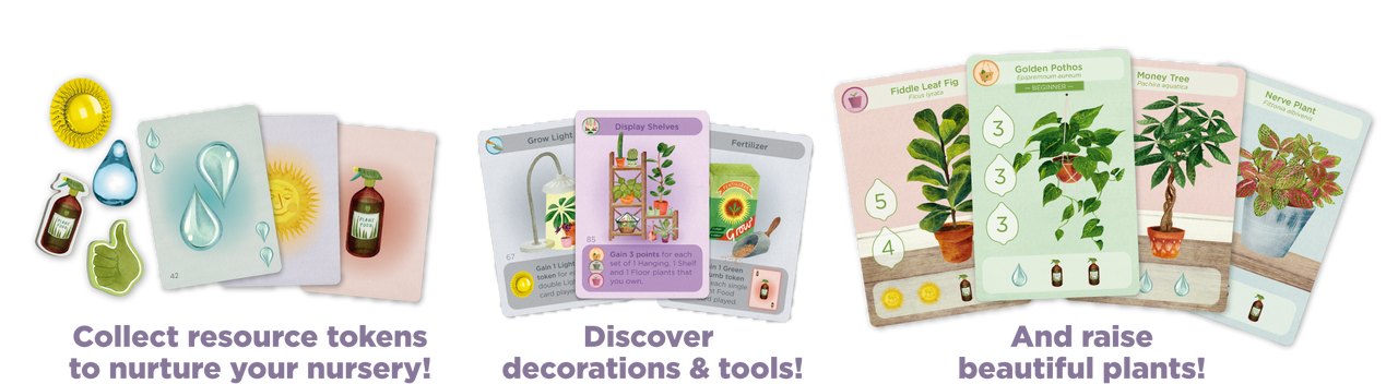 buffalo-games-planted-brettspiel-zimmerpflanzen-2-5-spieler image 6