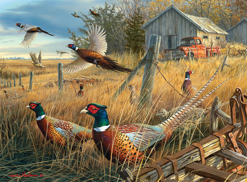 buffalo-games-hautman-memory-lane-1000-teile-puzzle-natur image 1