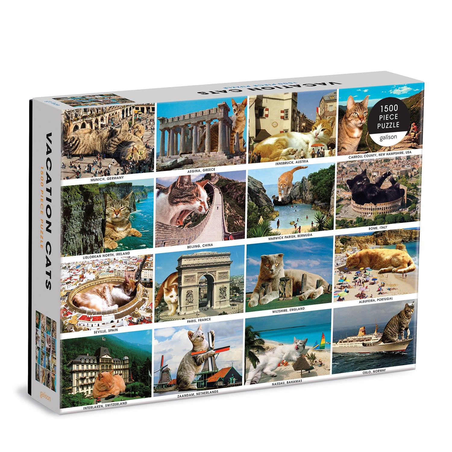 galison-vacation-cats-1500-teile-puzzle-katzen image 1