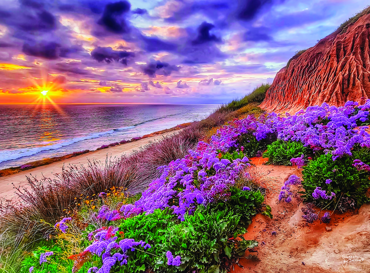 buffalo-games-gold-torrey-pines-beach-1000-teile-puzzle-strand image 1