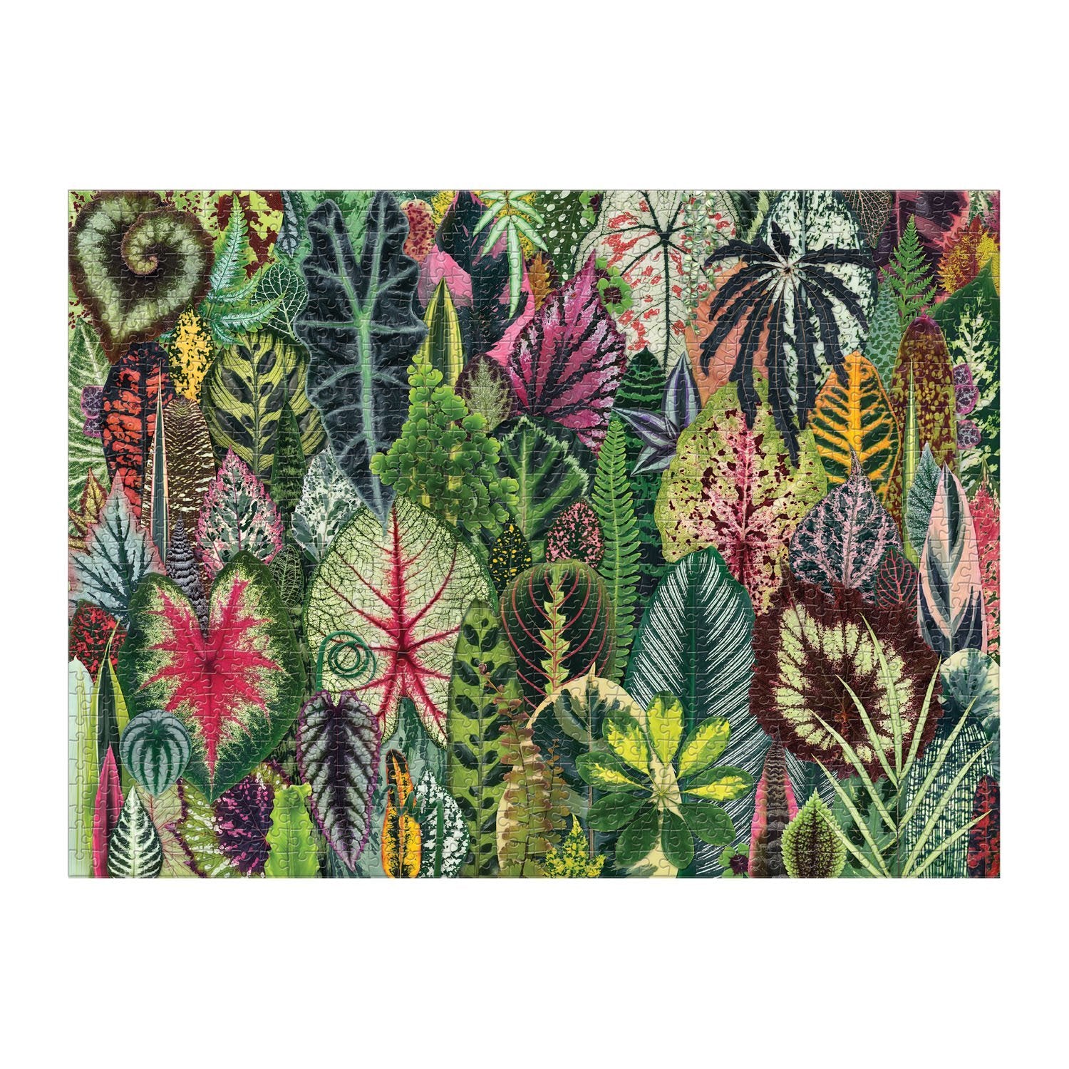 galison-troy-litten-houseplant-jungle-1000-teile-puzzle-zimmerpflanzen image 3