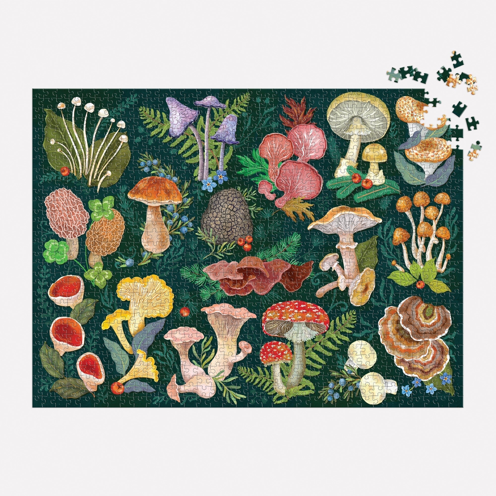 galison-world-of-mushrooms-puzzle-1000-teile-pilze-natur image 4