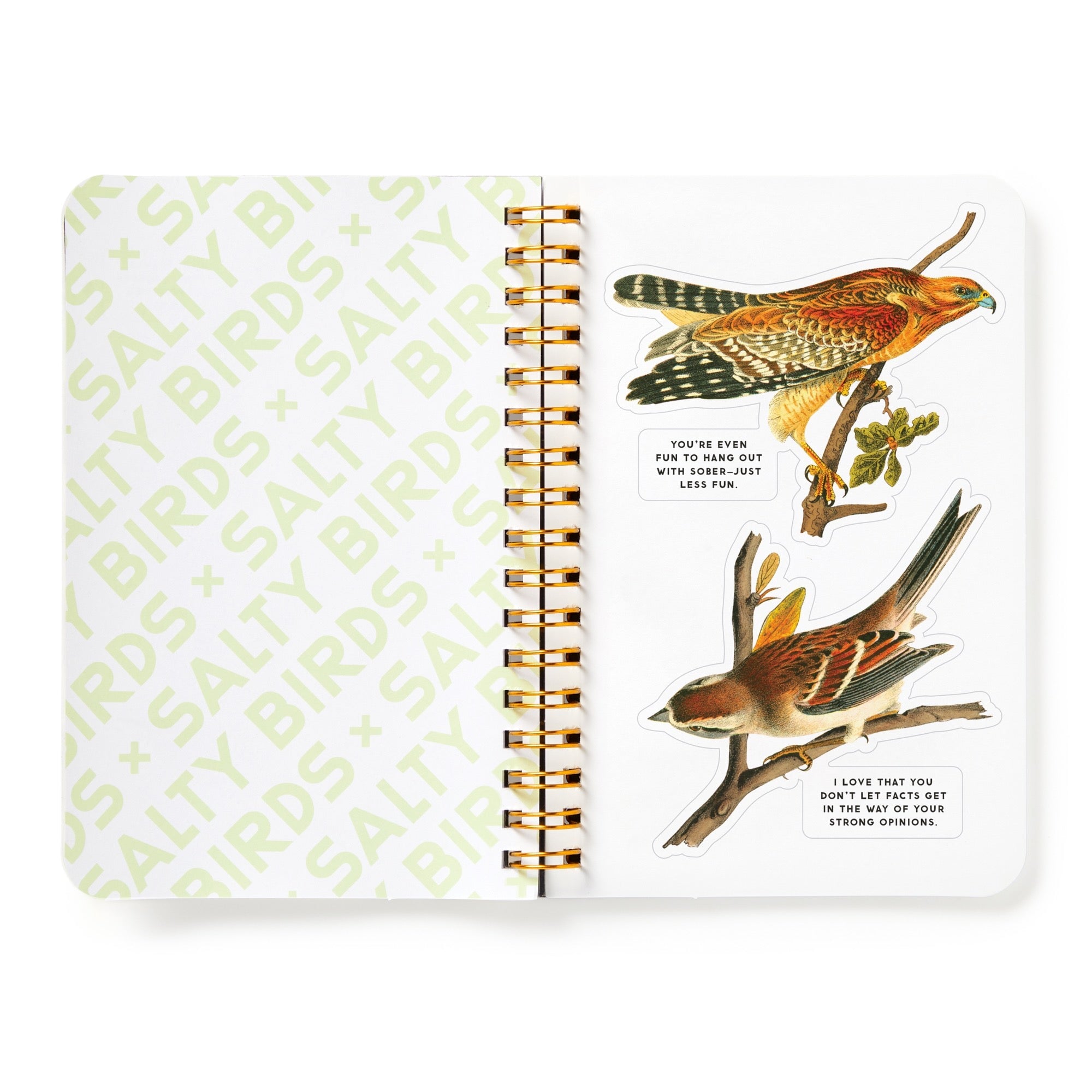 galison-salty-birds-stickerbuch-aufkleberbuch-20-seiten-vintage image 7