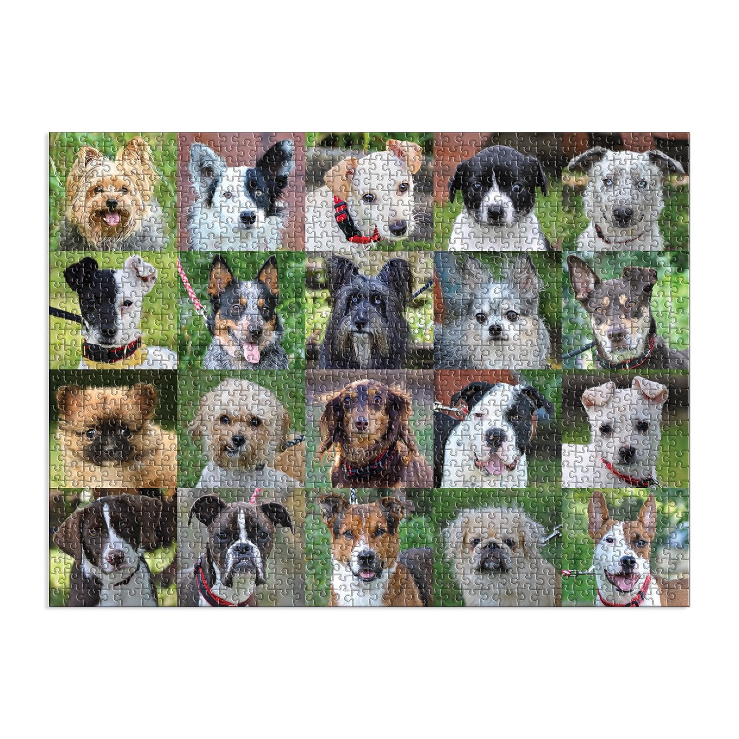 galison-rescue-dogs-puzzle-1000-teile-hunde image 3