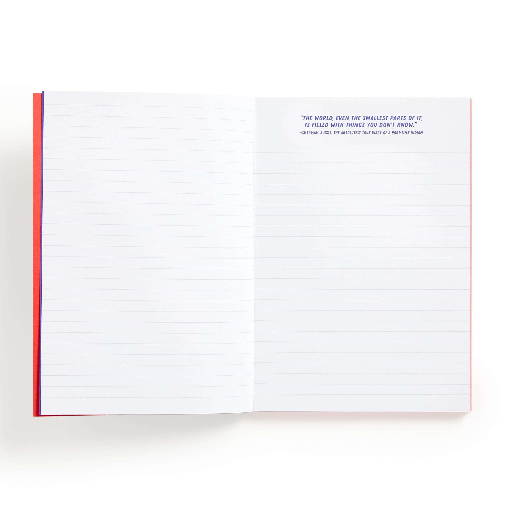 galison-i-read-banned-books-a5-notizbuch-liniert image 4