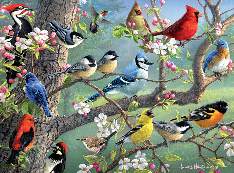buffalo-games-hautman-birds-orchard-1000-teile-puzzle-v-gel image 2