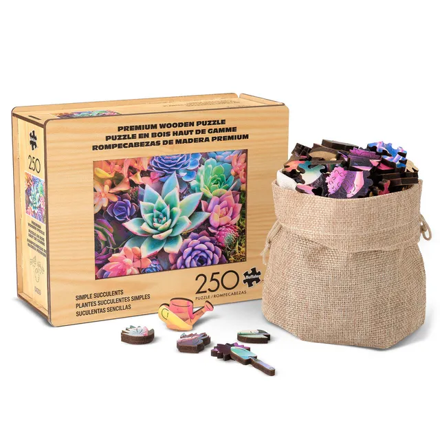buffalo-games-simple-succulent-holzpuzzle-250-teile-whimsy image 1
