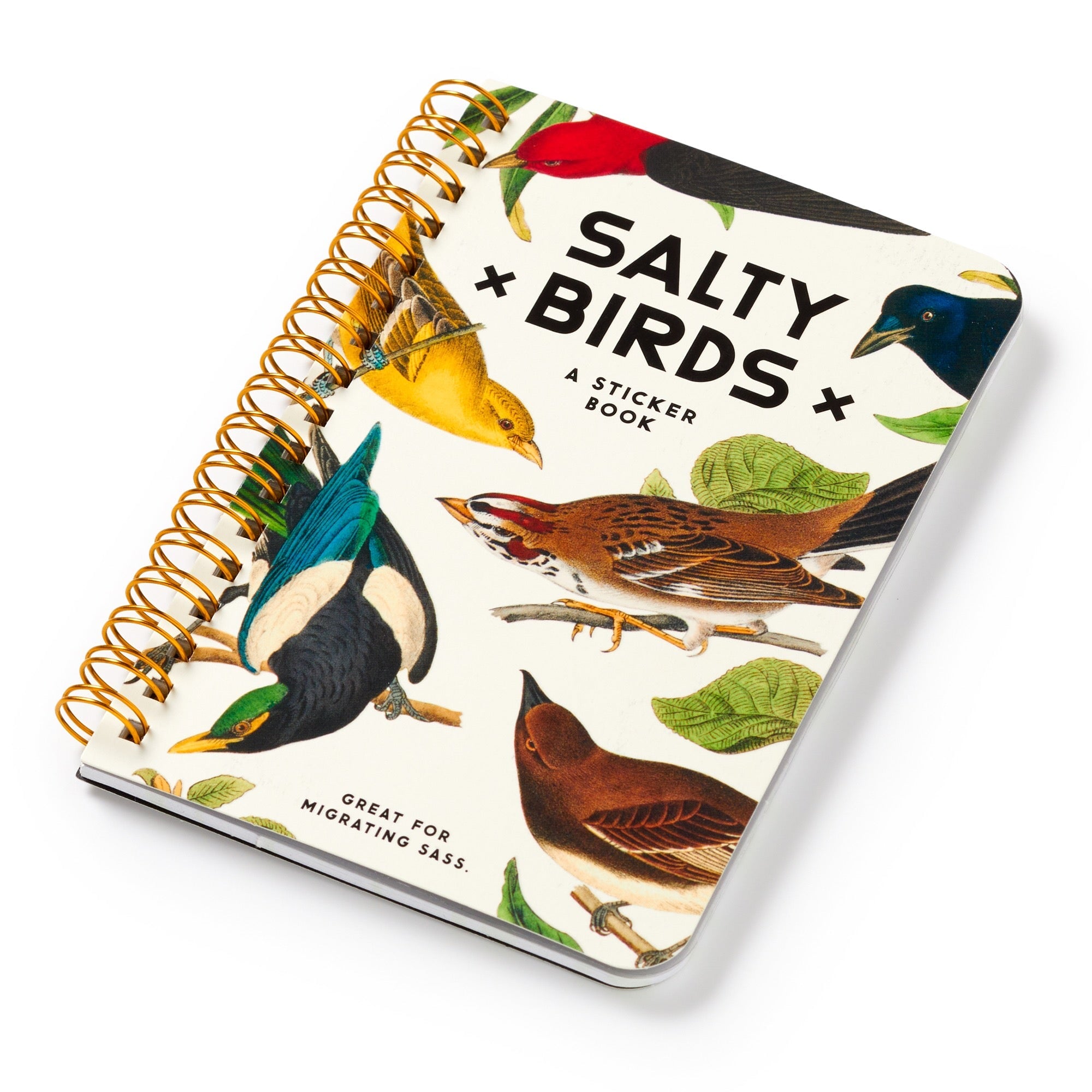 galison-salty-birds-stickerbuch-aufkleberbuch-20-seiten-vintage image 2