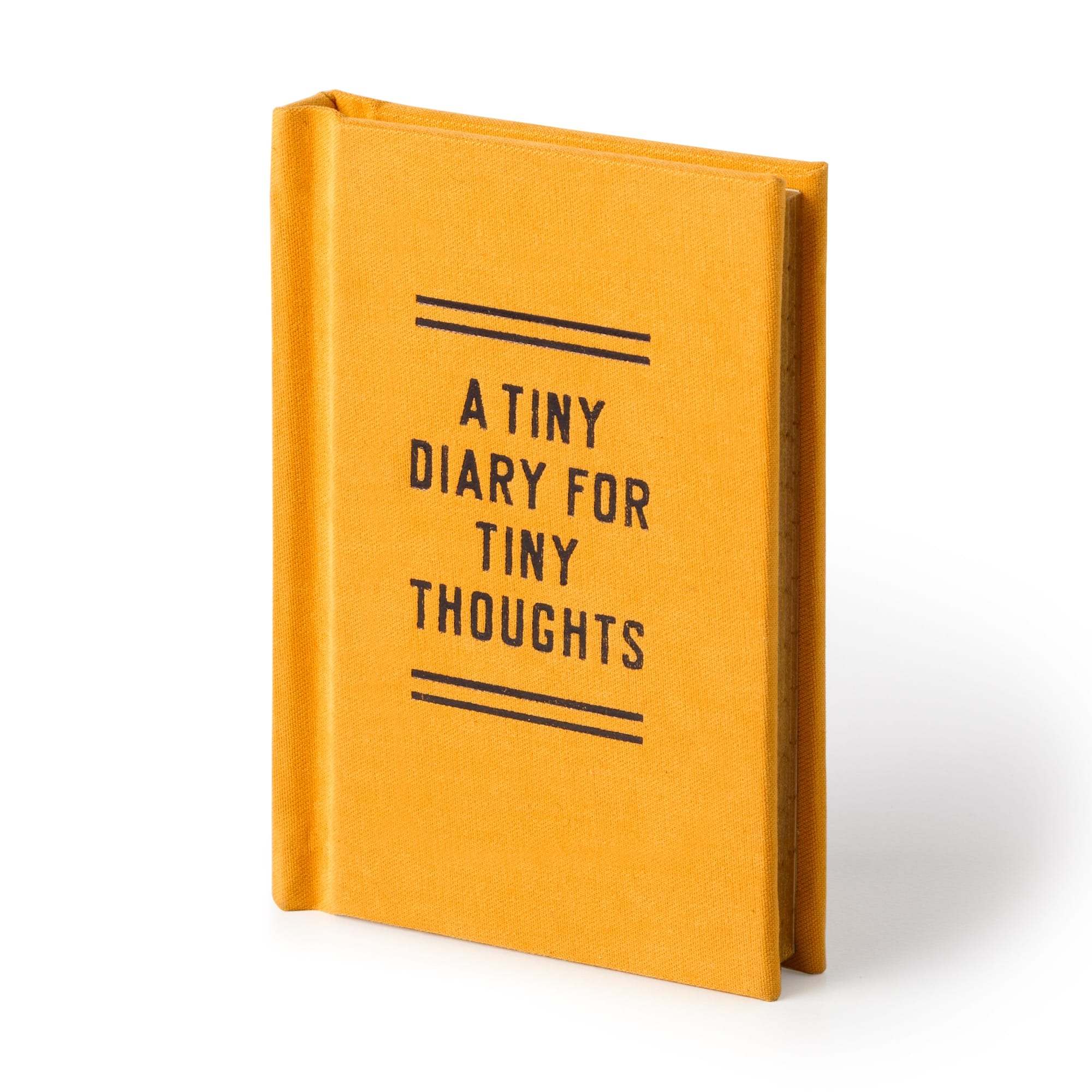 galison-a-tiny-diary-for-tiny-thoughts-tagebuch-filz-goldschnitt image 7