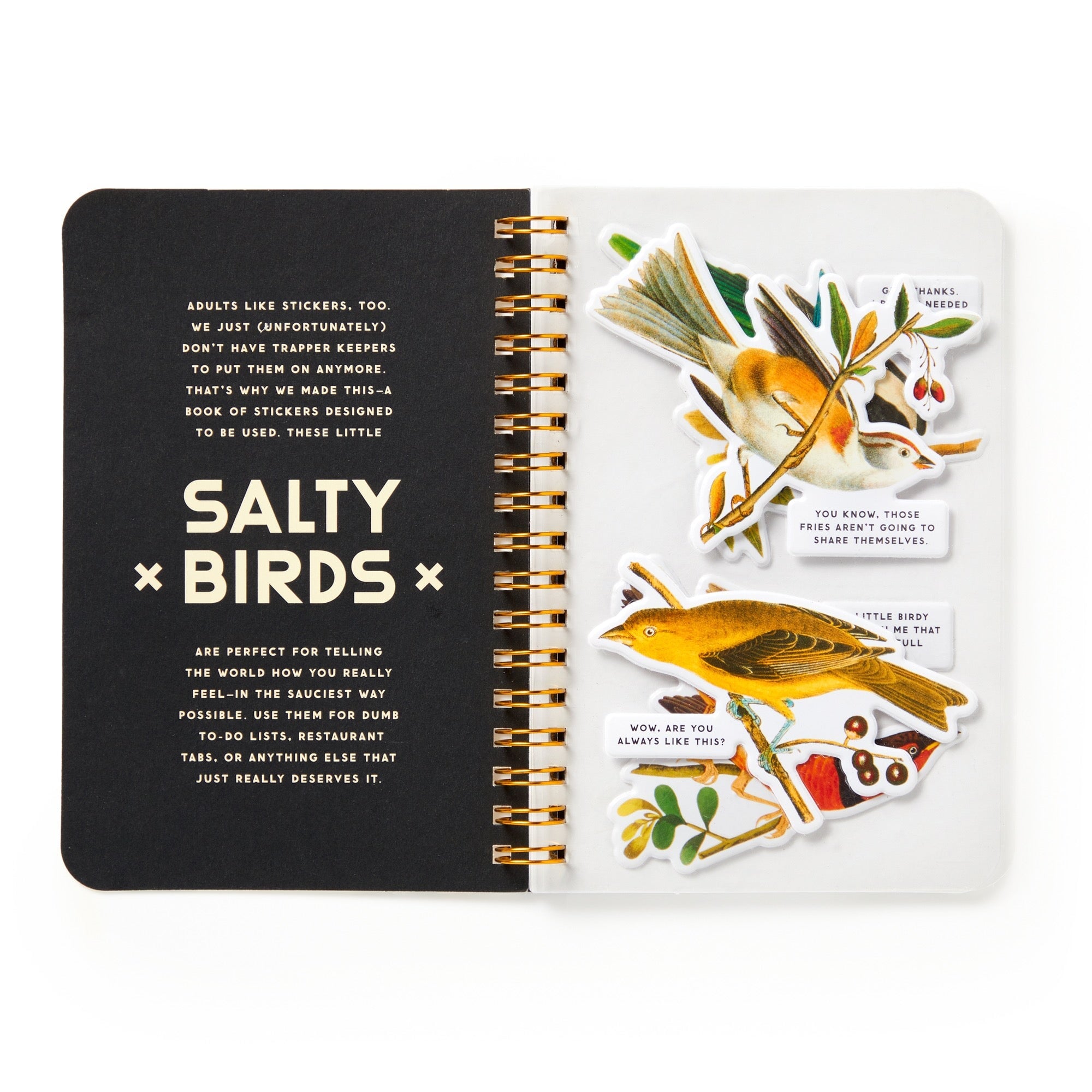 galison-salty-birds-stickerbuch-aufkleberbuch-20-seiten-vintage image 4