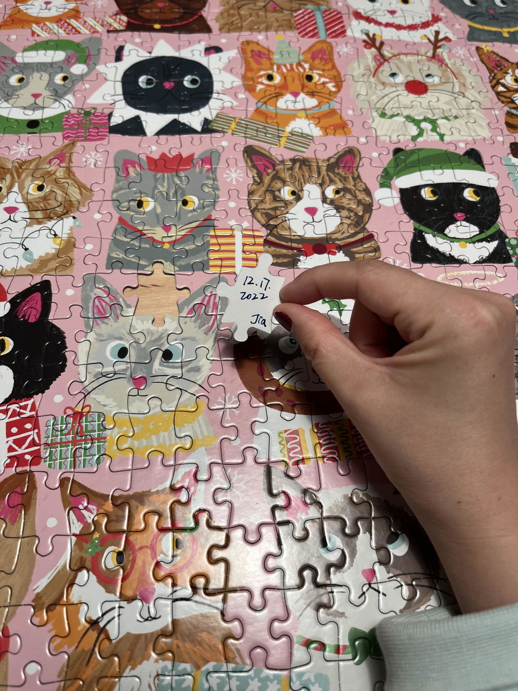 Viele Katzen