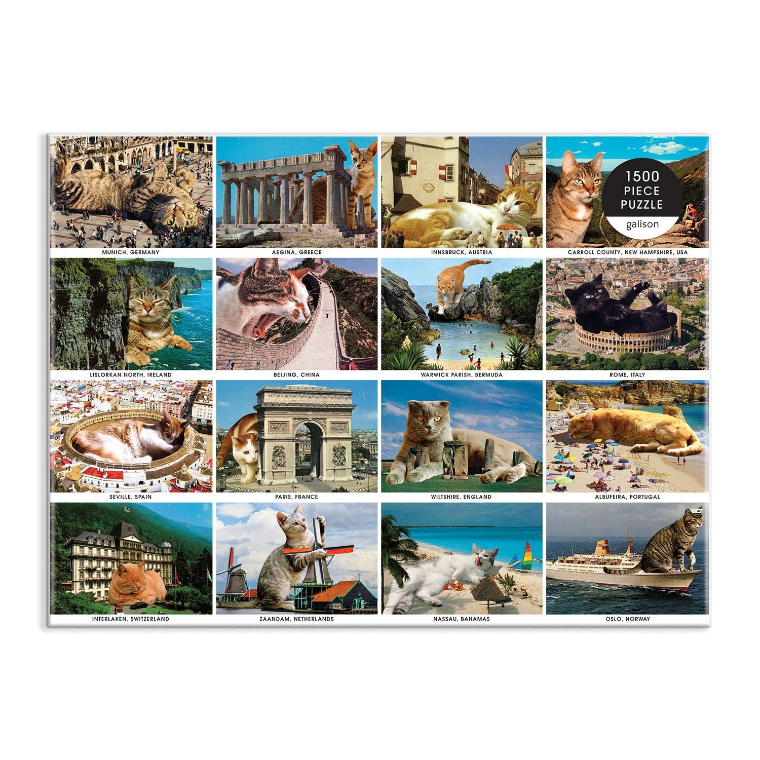 galison-vacation-cats-1500-teile-puzzle-katzen image 2