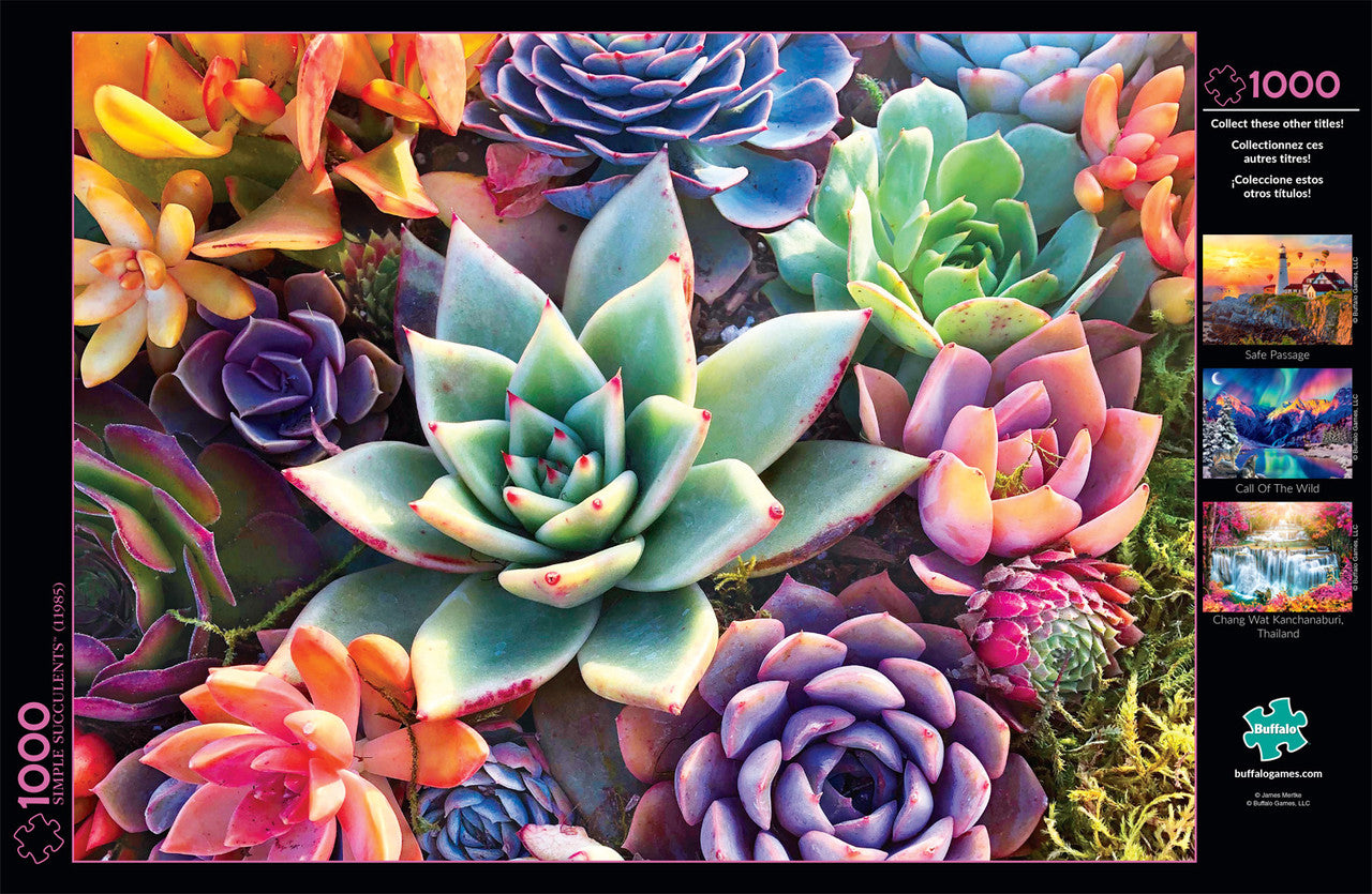 buffalo-games-simple-succulent-1000-teile-puzzle-sukkulenten image 3