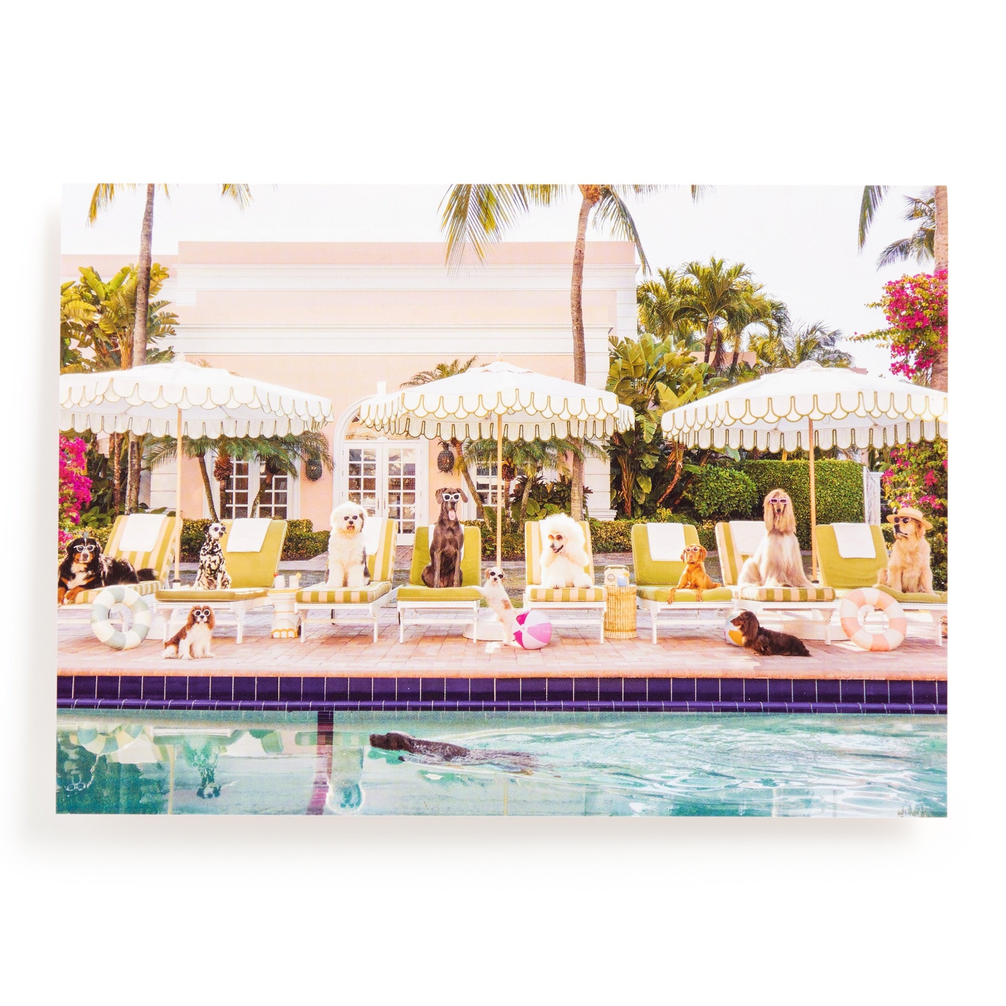 galison-pool-day-palm-beach-puzzle-1000-teile-buchbox image 7