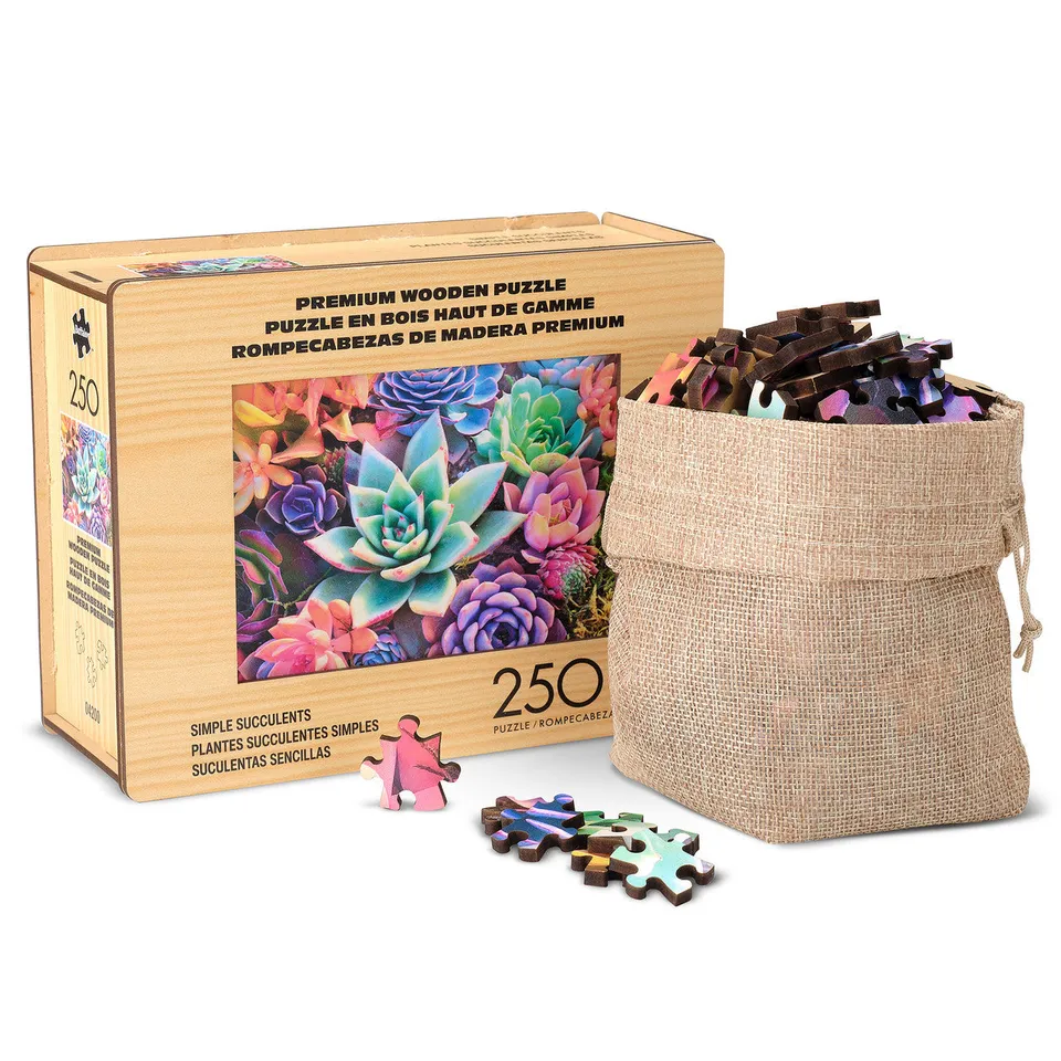 buffalo-games-simple-succulent-250-teile-holzpuzzle image 1