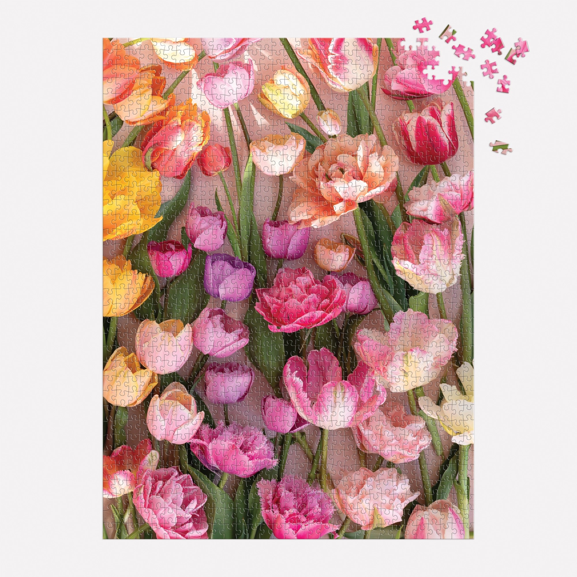 galison-ephemeral-tulips-puzzle-1000-teile-blumen-fr-hling image 4