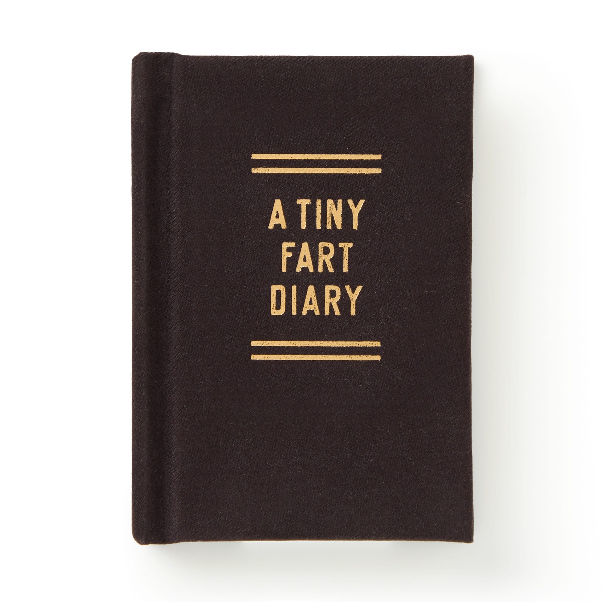 galison-a-tiny-fart-diary-tagebuch-mini-filz image 1