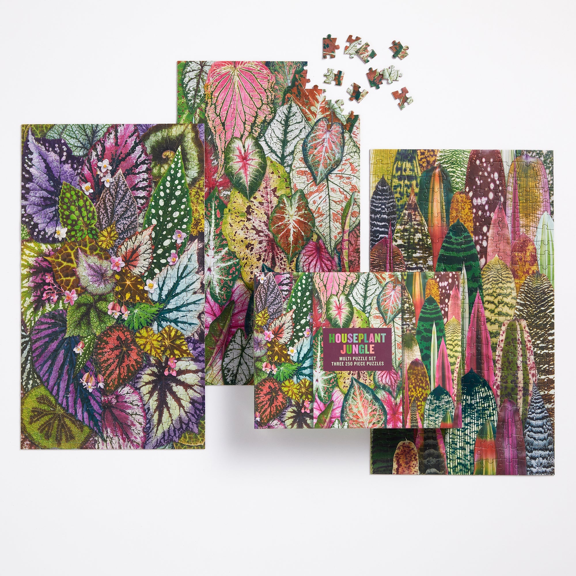 galison-houseplant-jungle-puzzle-set-3x250-teile-pflanzen-multipuzzle image 5