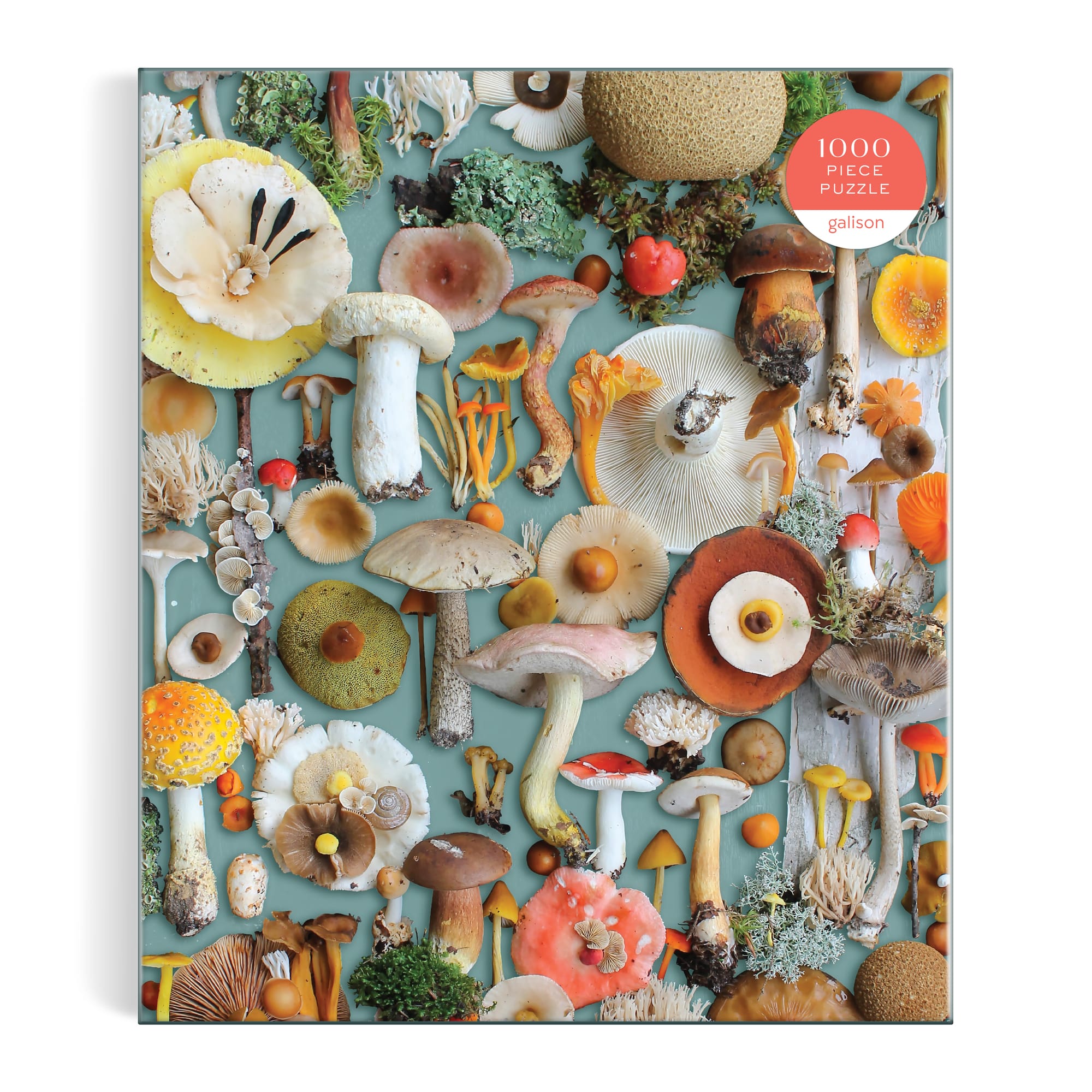 galison-foraged-puzzle-1000-teile-pilze image 2