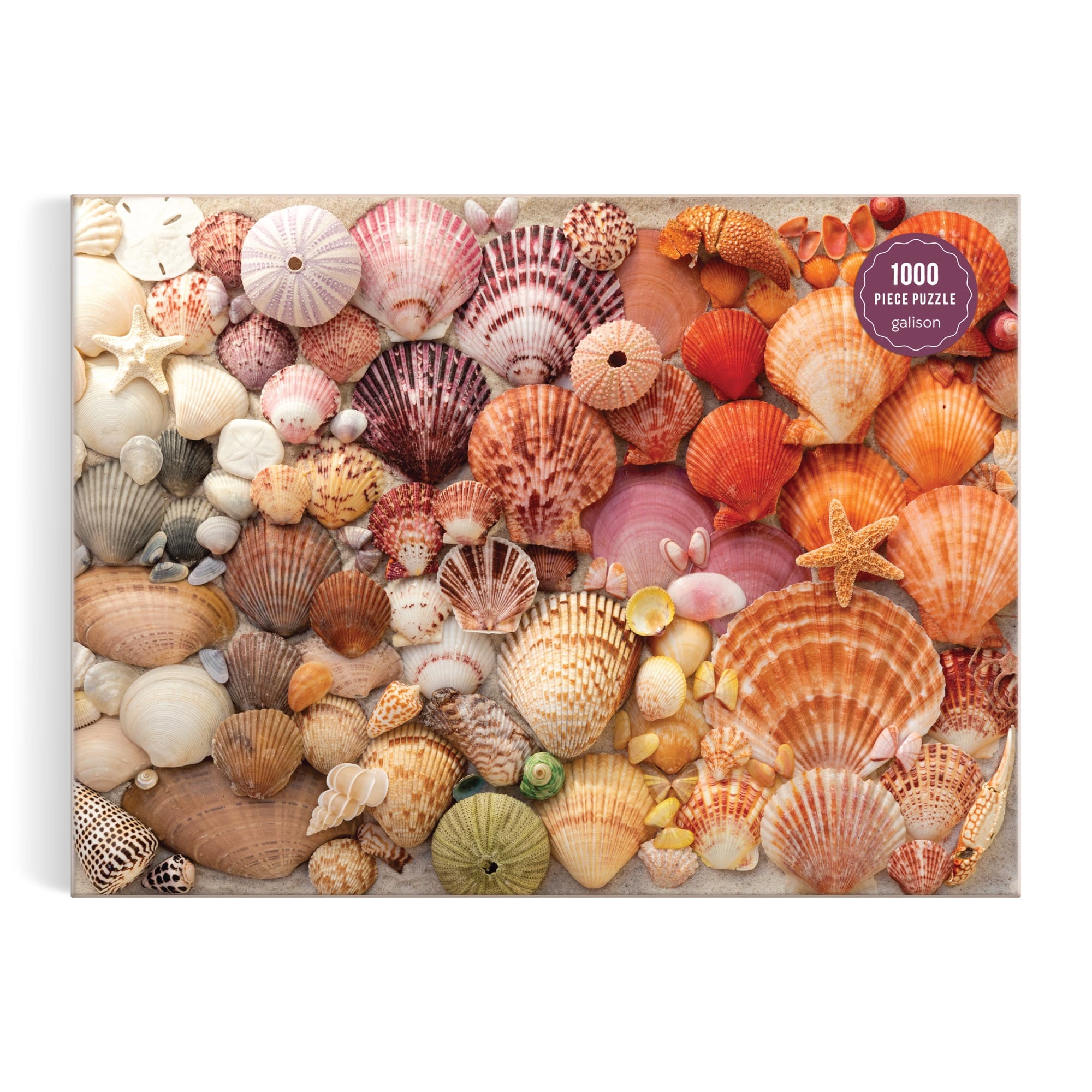 galison-vibrant-seashells-puzzle-1000-teile-muscheln image 2