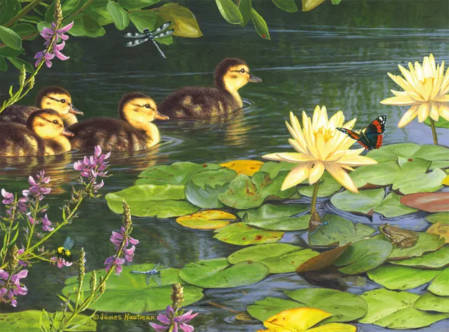 buffalo-games-hautman-big-day-out-1000-teile-puzzle-enten image 1