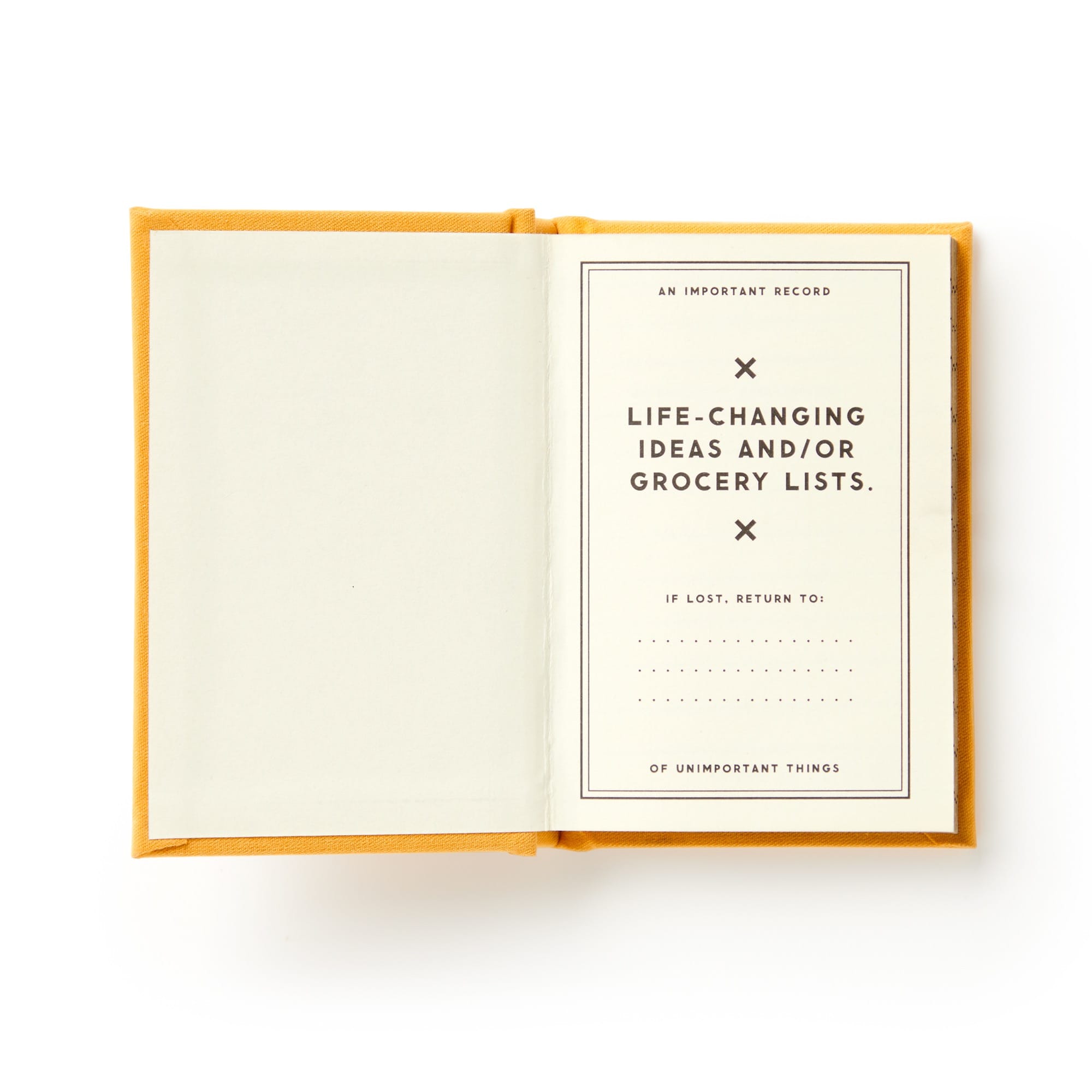 galison-a-tiny-diary-for-tiny-thoughts-tagebuch-filz-goldschnitt image 5