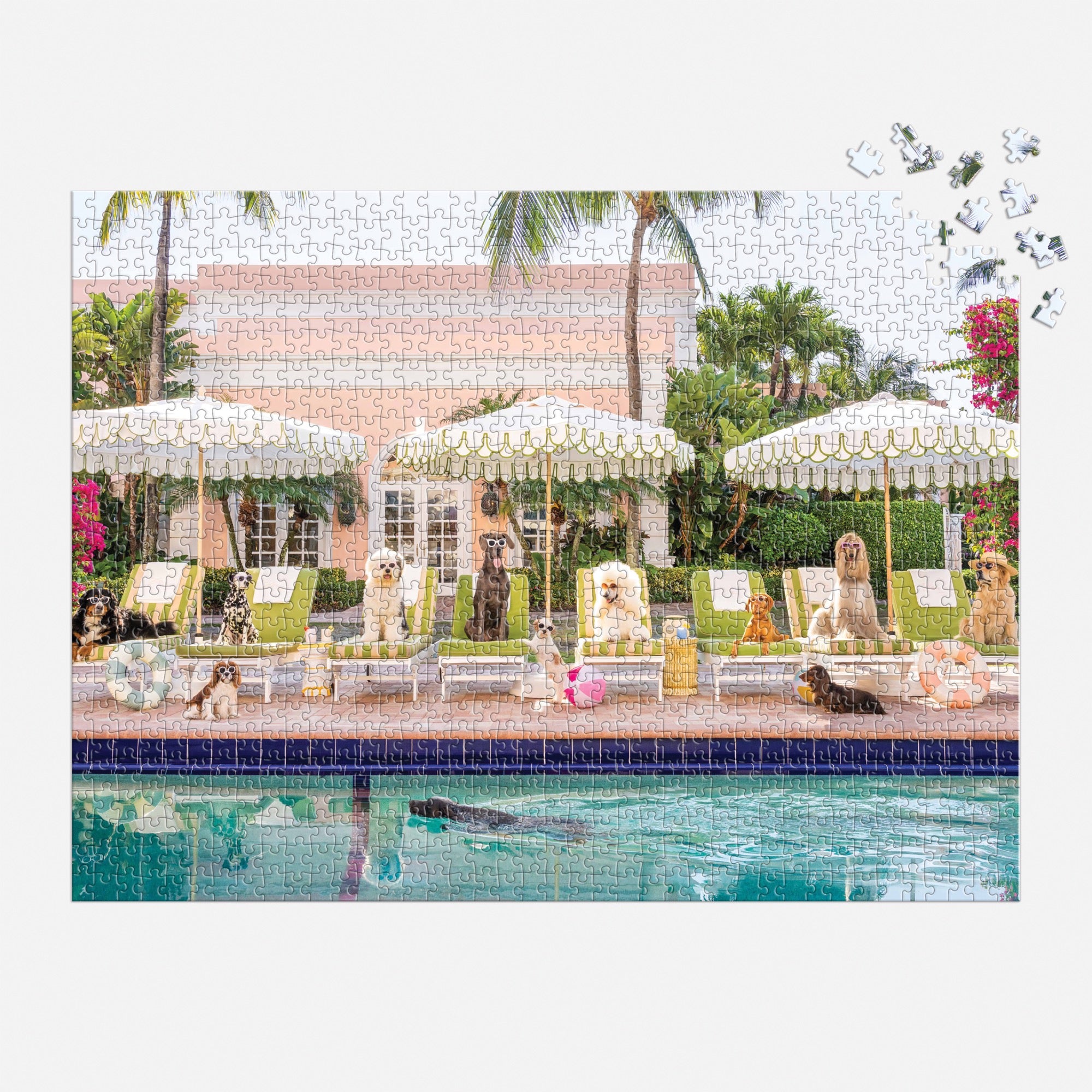 galison-pool-day-palm-beach-puzzle-1000-teile-buchbox image 6