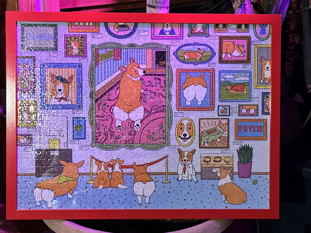 Hunde überall